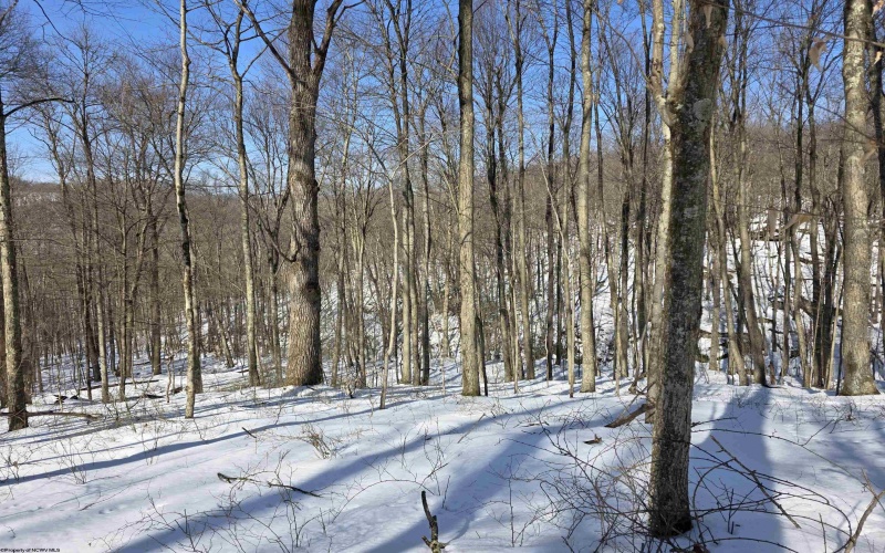 Lot 17, 18 &19 Poplar Drive, Grafton, West Virginia 26354, ,Lots/land,For Sale,Poplar,10163264 Lot 17, 18 &19 Poplar Drive, Grafton, West Virginia 26354, ,Lots/land,For Sale,Poplar,10163264