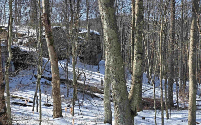 Lot 17, 18 &19 Poplar Drive, Grafton, West Virginia 26354, ,Lots/land,For Sale,Poplar,10163264 Lot 17, 18 &19 Poplar Drive, Grafton, West Virginia 26354, ,Lots/land,For Sale,Poplar,10163264