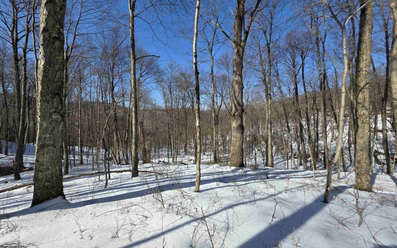 Lot 17, 18 &19 Poplar Drive, Grafton, West Virginia 26354, ,Lots/land,For Sale,Poplar,10163264 Lot 17, 18 &19 Poplar Drive, Grafton, West Virginia 26354, ,Lots/land,For Sale,Poplar,10163264