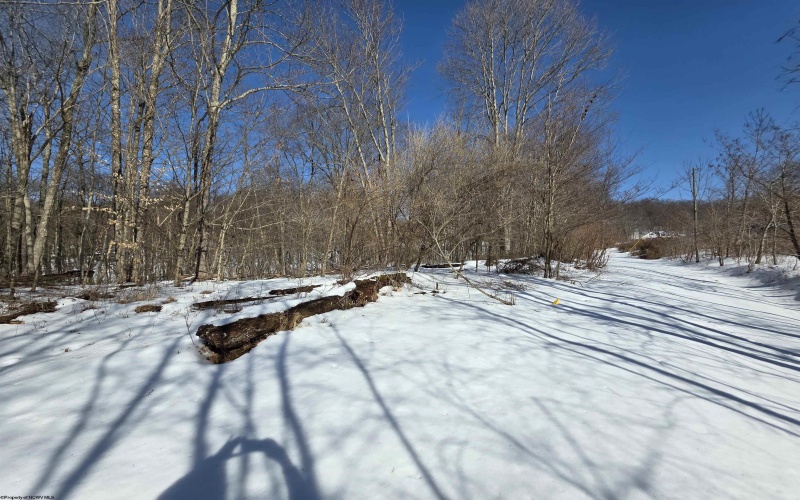 Lot 17, 18 &19 Poplar Drive, Grafton, West Virginia 26354, ,Lots/land,For Sale,Poplar,10163264 Lot 17, 18 &19 Poplar Drive, Grafton, West Virginia 26354, ,Lots/land,For Sale,Poplar,10163264