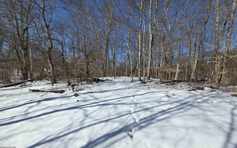 Lot 17, 18 &19 Poplar Drive, Grafton, West Virginia 26354, ,Lots/land,For Sale,Poplar,10163264 Lot 17, 18 &19 Poplar Drive, Grafton, West Virginia 26354, ,Lots/land,For Sale,Poplar,10163264