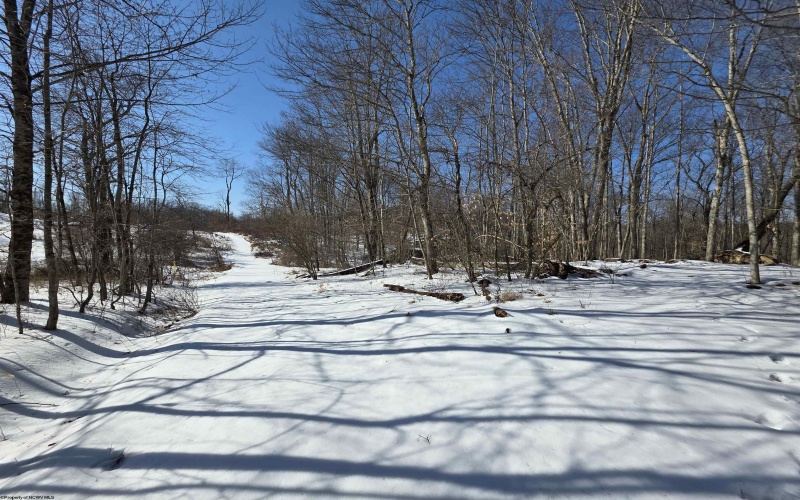 Lot 17, 18 &19 Poplar Drive, Grafton, West Virginia 26354, ,Lots/land,For Sale,Poplar,10163264 Lot 17, 18 &19 Poplar Drive, Grafton, West Virginia 26354, ,Lots/land,For Sale,Poplar,10163264