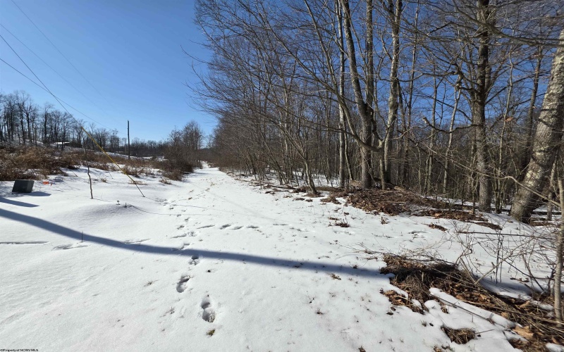 Lot 17, 18 &19 Poplar Drive, Grafton, West Virginia 26354, ,Lots/land,For Sale,Poplar,10163264 Lot 17, 18 &19 Poplar Drive, Grafton, West Virginia 26354, ,Lots/land,For Sale,Poplar,10163264