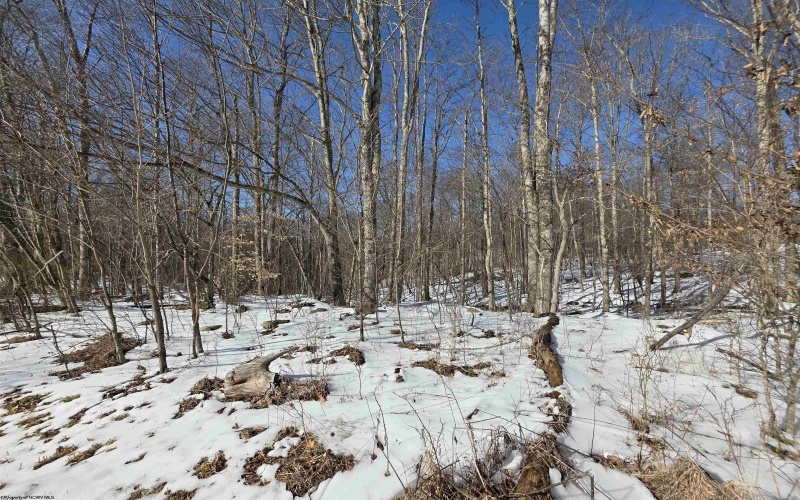 Lot 17, 18 &19 Poplar Drive, Grafton, West Virginia 26354, ,Lots/land,For Sale,Poplar,10163264 Lot 17, 18 &19 Poplar Drive, Grafton, West Virginia 26354, ,Lots/land,For Sale,Poplar,10163264