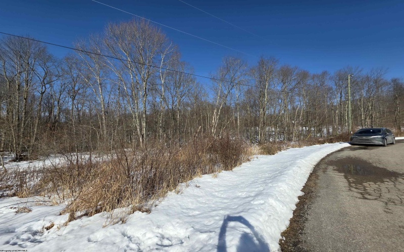 Lot 17, 18 &19 Poplar Drive, Grafton, West Virginia 26354, ,Lots/land,For Sale,Poplar,10163264 Lot 17, 18 &19 Poplar Drive, Grafton, West Virginia 26354, ,Lots/land,For Sale,Poplar,10163264