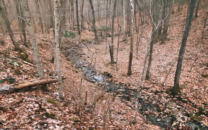 Lot 17, 18 &19 Poplar Drive, Grafton, West Virginia 26354, ,Lots/land,For Sale,Poplar,10163264 Lot 17, 18 &19 Poplar Drive, Grafton, West Virginia 26354, ,Lots/land,For Sale,Poplar,10163264