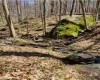 Lot 17, 18 &19 Poplar Drive, Grafton, West Virginia 26354, ,Lots/land,For Sale,Poplar,10163264