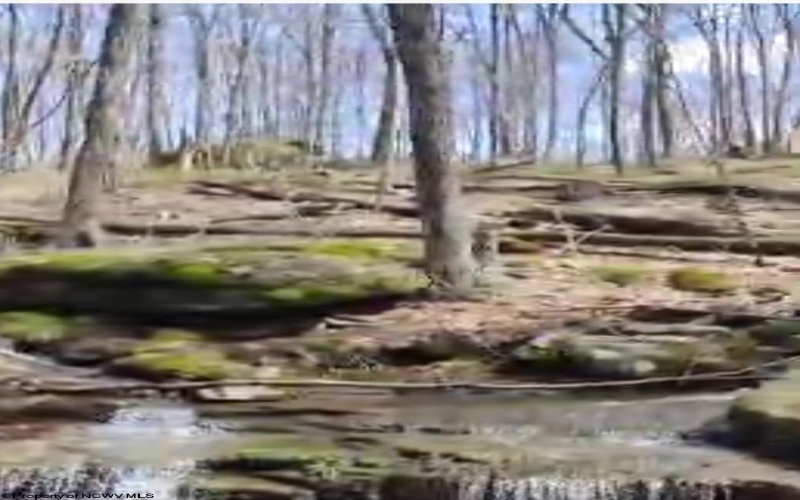 Lot 17, 18 &19 Poplar Drive, Grafton, West Virginia 26354, ,Lots/land,For Sale,Poplar,10163264