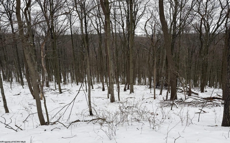 0 Eastwood Lane, Morgantown, West Virginia 26508, ,Lots/land,For Sale,Eastwood,10163262