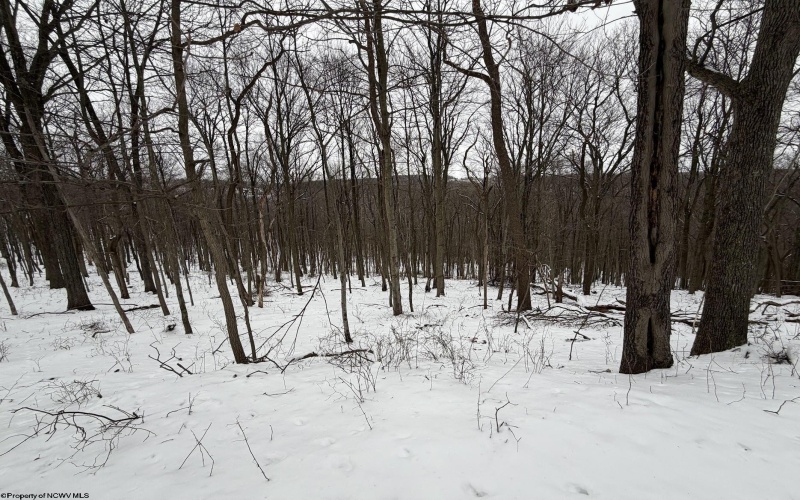 0 Eastwood Lane, Morgantown, West Virginia 26508, ,Lots/land,For Sale,Eastwood,10163262