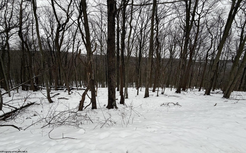 0 Eastwood Lane, Morgantown, West Virginia 26508, ,Lots/land,For Sale,Eastwood,10163262