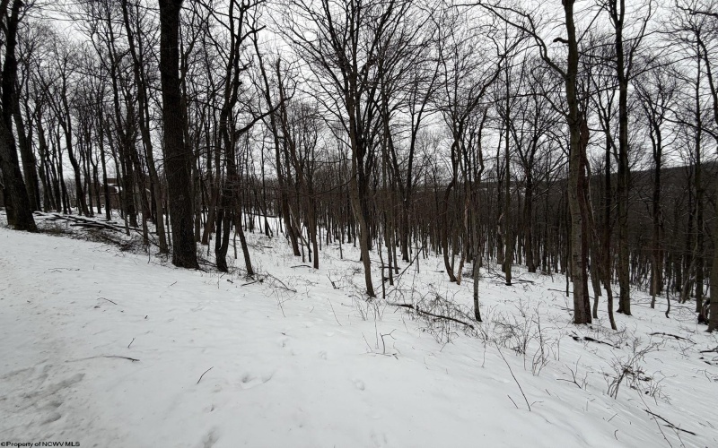 0 Eastwood Lane, Morgantown, West Virginia 26508, ,Lots/land,For Sale,Eastwood,10163262