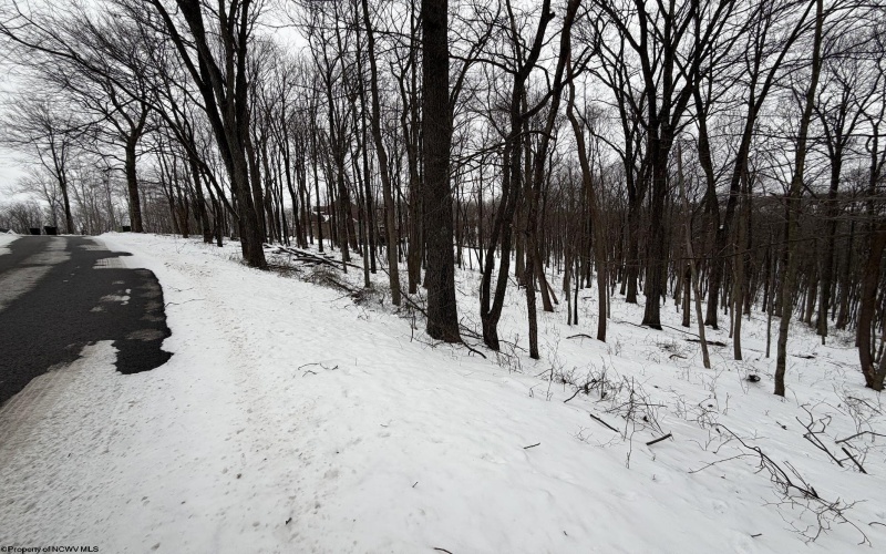 0 Eastwood Lane, Morgantown, West Virginia 26508, ,Lots/land,For Sale,Eastwood,10163262