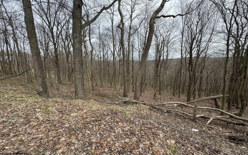 0 Eastwood Lane, Morgantown, West Virginia 26508, ,Lots/land,For Sale,Eastwood,10163262