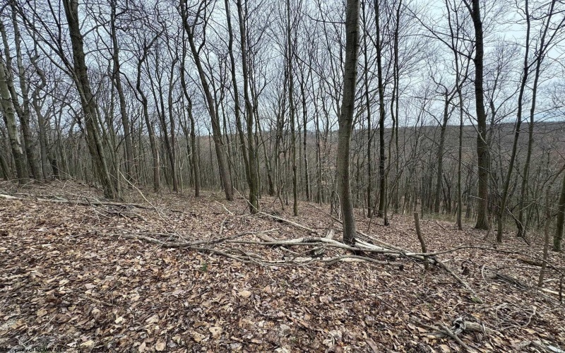 0 Eastwood Lane, Morgantown, West Virginia 26508, ,Lots/land,For Sale,Eastwood,10163262