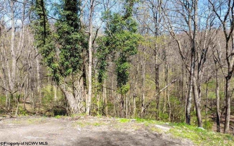 tbd Wright Street, Morgantown, West Virginia 26501, ,Lots/land,For Sale,Wright,10163291