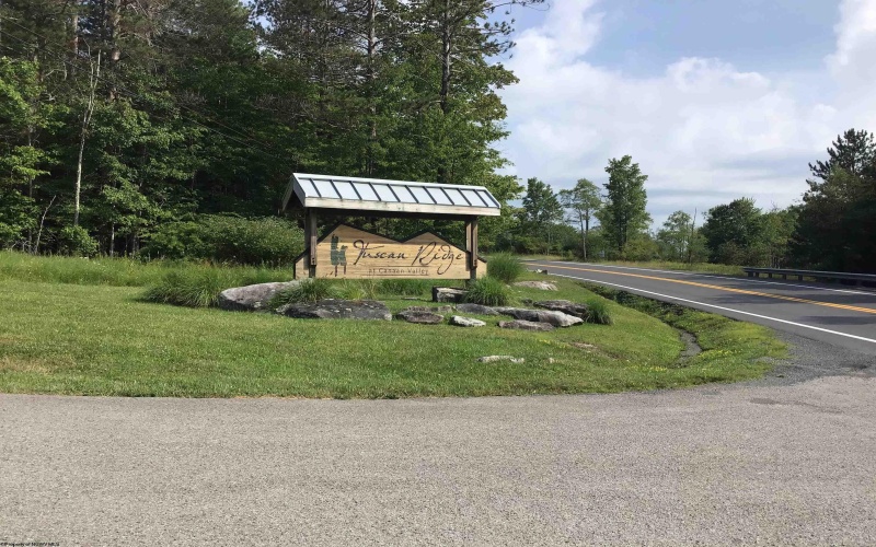 Lot 332 Pisa Place, Davis, West Virginia 26260, ,Lots/land,For Sale,Pisa,10155518