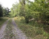 Lot 332 Pisa Place, Davis, West Virginia 26260, ,Lots/land,For Sale,Pisa,10155518