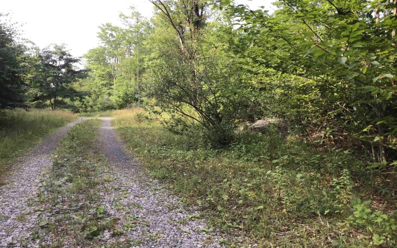 Lot 332 Pisa Place, Davis, West Virginia 26260, ,Lots/land,For Sale,Pisa,10155518