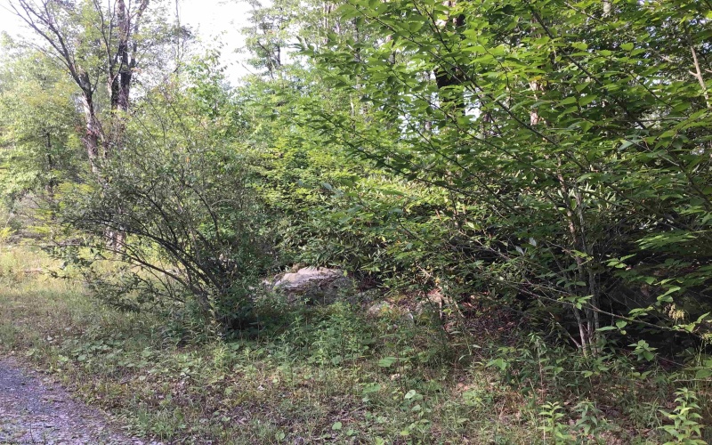 Lot 332 Pisa Place, Davis, West Virginia 26260, ,Lots/land,For Sale,Pisa,10155518