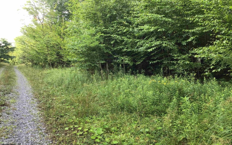 Lot 332 Pisa Place, Davis, West Virginia 26260, ,Lots/land,For Sale,Pisa,10155518