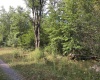Lot 332 Pisa Place, Davis, West Virginia 26260, ,Lots/land,For Sale,Pisa,10155518