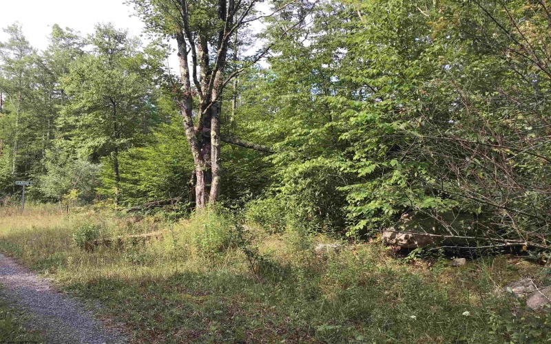 Lot 332 Pisa Place, Davis, West Virginia 26260, ,Lots/land,For Sale,Pisa,10155518