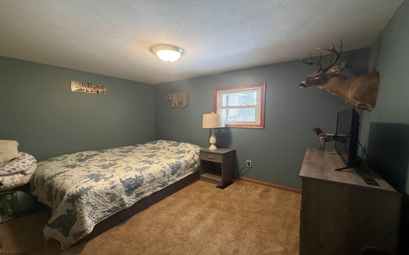 181 Oates Lane, Ellamore, West Virginia 26267, 3 Bedrooms Bedrooms, 5 Rooms Rooms,1 BathroomBathrooms,Single Family Detached,For Sale,Oates,10163317