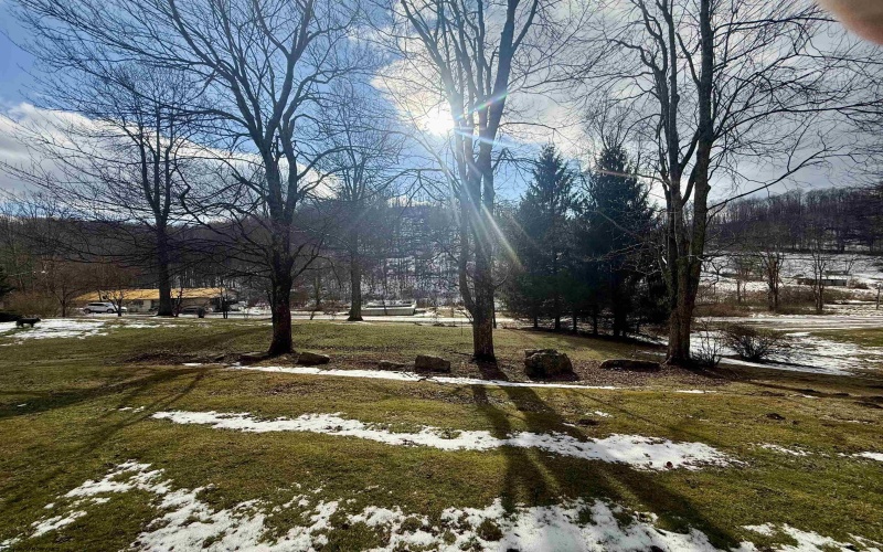 181 Oates Lane, Ellamore, West Virginia 26267, 3 Bedrooms Bedrooms, 5 Rooms Rooms,1 BathroomBathrooms,Single Family Detached,For Sale,Oates,10163317