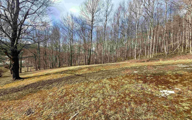 181 Oates Lane, Ellamore, West Virginia 26267, 3 Bedrooms Bedrooms, 5 Rooms Rooms,1 BathroomBathrooms,Single Family Detached,For Sale,Oates,10163317