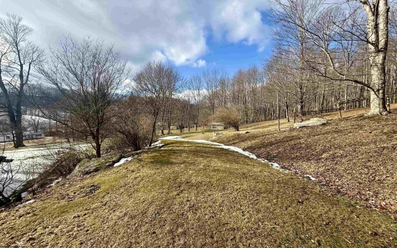 181 Oates Lane, Ellamore, West Virginia 26267, 3 Bedrooms Bedrooms, 5 Rooms Rooms,1 BathroomBathrooms,Single Family Detached,For Sale,Oates,10163317