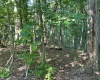 tbd Walnut Hill Road, Morgantown, West Virginia 26501, ,Lots/land,For Sale,Walnut Hill,10160815