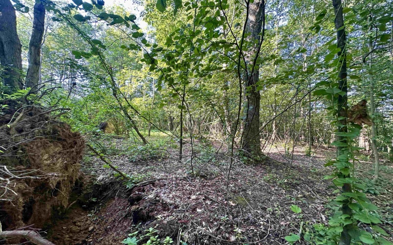 tbd Walnut Hill Road, Morgantown, West Virginia 26501, ,Lots/land,For Sale,Walnut Hill,10160815