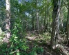tbd Walnut Hill Road, Morgantown, West Virginia 26501, ,Lots/land,For Sale,Walnut Hill,10160815