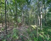 tbd Walnut Hill Road, Morgantown, West Virginia 26501, ,Lots/land,For Sale,Walnut Hill,10160815