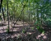tbd Walnut Hill Road, Morgantown, West Virginia 26501, ,Lots/land,For Sale,Walnut Hill,10160815