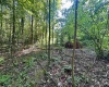 tbd Walnut Hill Road, Morgantown, West Virginia 26501, ,Lots/land,For Sale,Walnut Hill,10160815