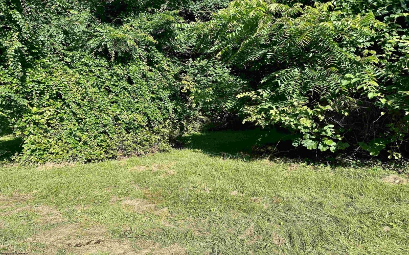 tbd Walnut Hill Road, Morgantown, West Virginia 26501, ,Lots/land,For Sale,Walnut Hill,10160815