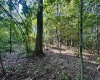 tbd Walnut Hill Road, Morgantown, West Virginia 26501, ,Lots/land,For Sale,Walnut Hill,10160815