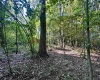 tbd Walnut Hill Road, Morgantown, West Virginia 26501, ,Lots/land,For Sale,Walnut Hill,10160815