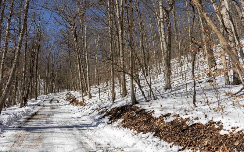 Lot 1 Cales Road, Masontown, West Virginia 26542, ,Lots/land,For Sale,Cales,10163308