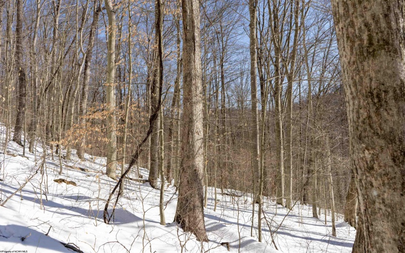 Lot 1 Cales Road, Masontown, West Virginia 26542, ,Lots/land,For Sale,Cales,10163308