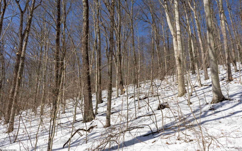 Lot 1 Cales Road, Masontown, West Virginia 26542, ,Lots/land,For Sale,Cales,10163308