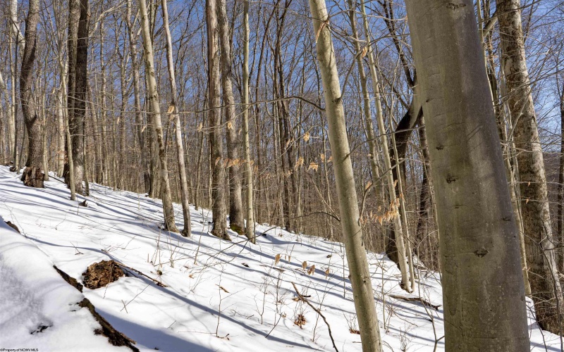Lot 1 Cales Road, Masontown, West Virginia 26542, ,Lots/land,For Sale,Cales,10163308