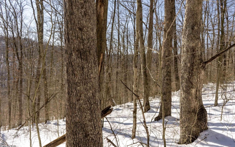 Lot 1 Cales Road, Masontown, West Virginia 26542, ,Lots/land,For Sale,Cales,10163308