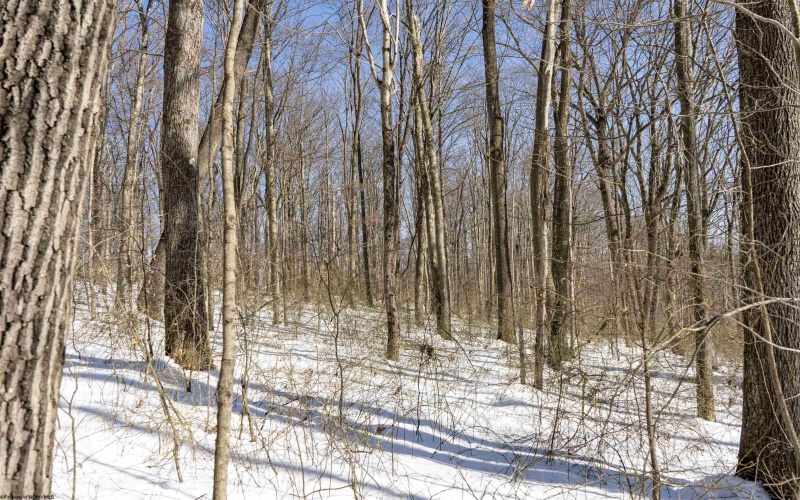 Lot 1 Cales Road, Masontown, West Virginia 26542, ,Lots/land,For Sale,Cales,10163308