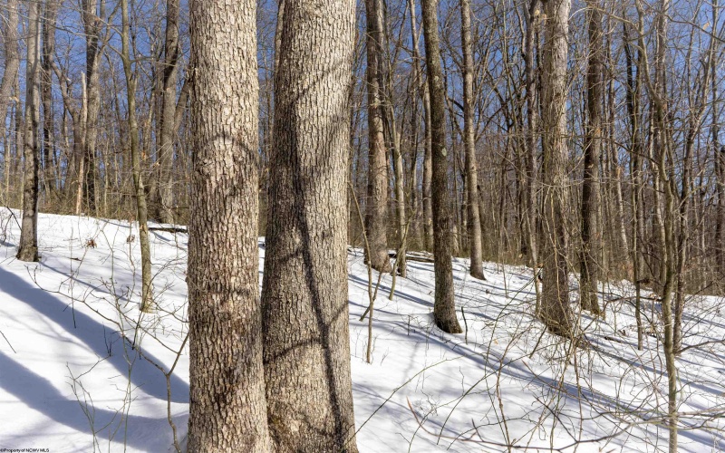 Lot 1 Cales Road, Masontown, West Virginia 26542, ,Lots/land,For Sale,Cales,10163308