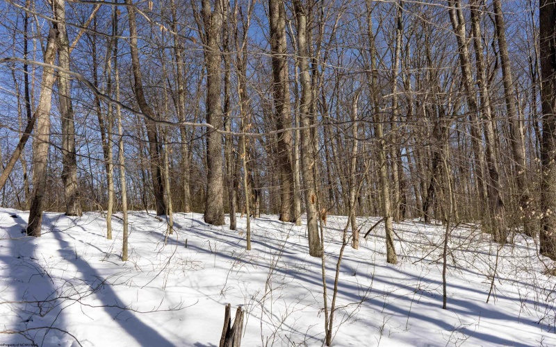 Lot 1 Cales Road, Masontown, West Virginia 26542, ,Lots/land,For Sale,Cales,10163308