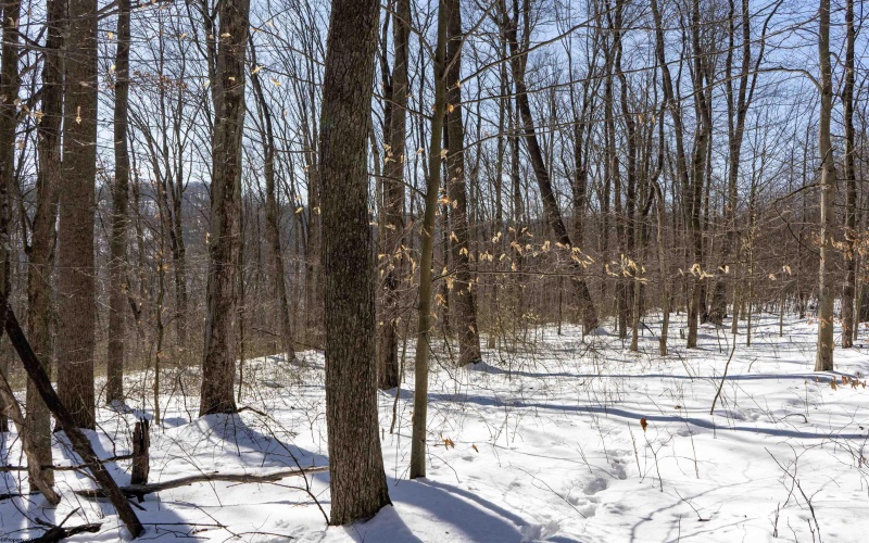 Lot 1 Cales Road, Masontown, West Virginia 26542, ,Lots/land,For Sale,Cales,10163308