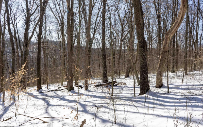 Lot 1 Cales Road, Masontown, West Virginia 26542, ,Lots/land,For Sale,Cales,10163308